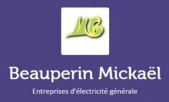 Beauperin Mickaël, Electricien dans le Maine-et-Loire